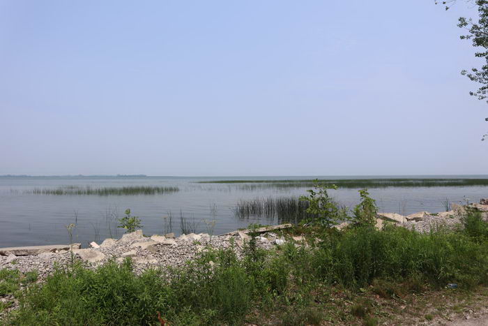 Alabaster - Alabaster Photo From July 2021 (newer photo)